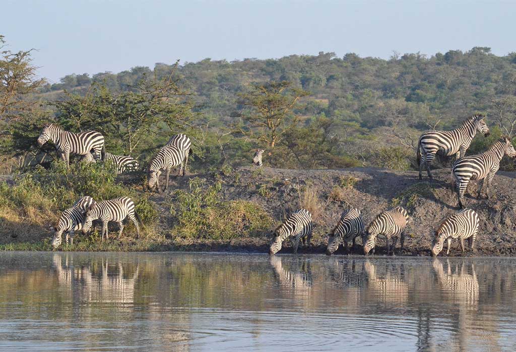 Lake Mburo National Parko