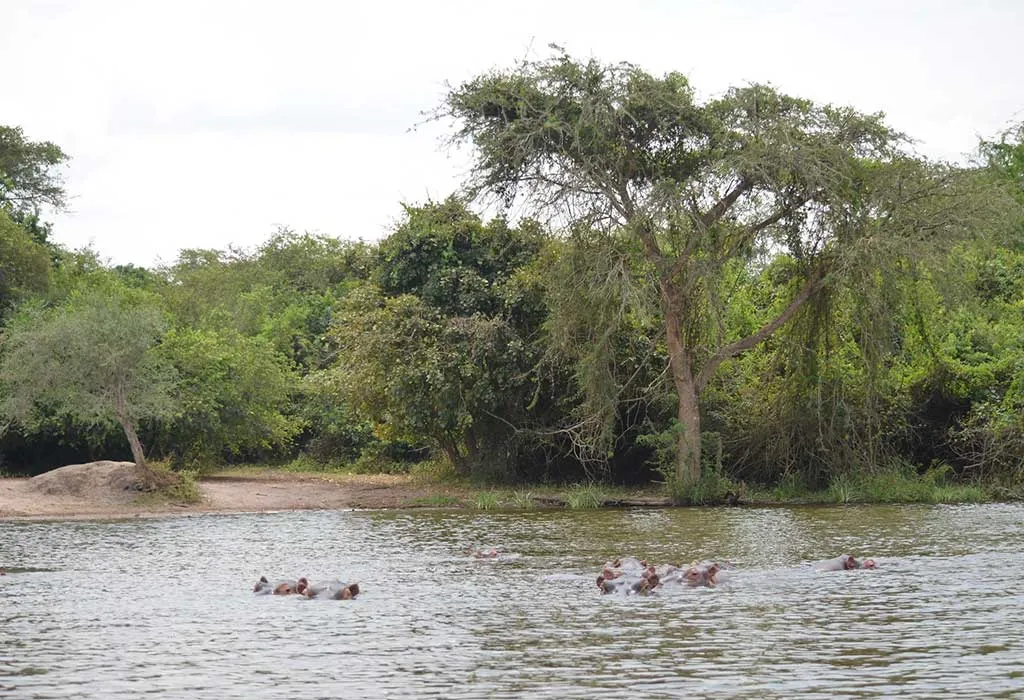 Lake-Mburo-National-Park