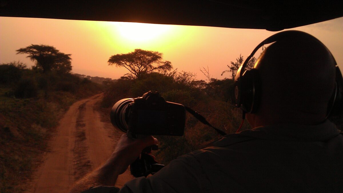 sunset on a safari