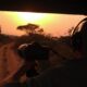 sunset on a safari