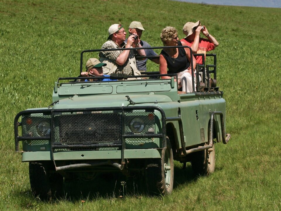 family on a safari